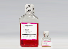 None OriCell<sup>®</sup>人脐血间充质干细胞 完全培养基(无血清II型) HUXUB-90062