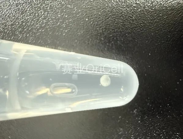 诱导过程效果图