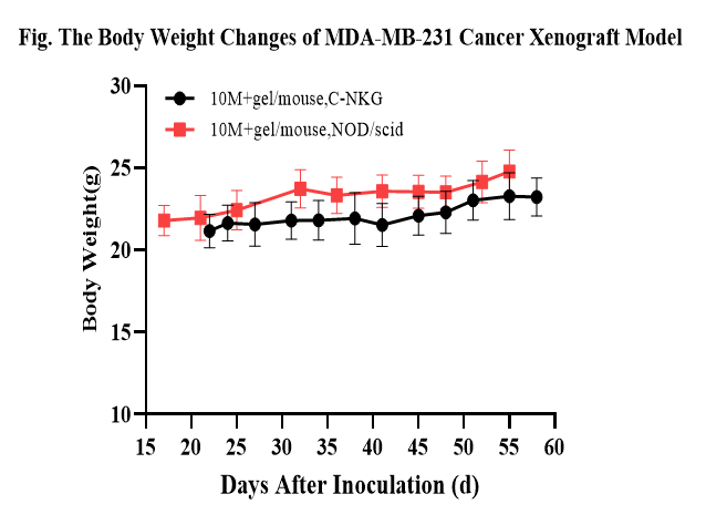 MDA-MB-231细胞系成瘤验证