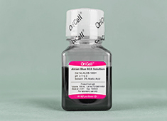 OriCell<sup>®</sup>阿利辛蓝染色液 （Alcian Blue 8GX Solultion）