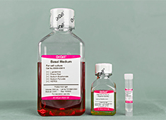 拟胚体（EB）形成培养基 OriCell<sup>®</sup>拟胚体（EB）形成试剂盒 MUXES-90051