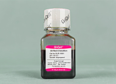 油红O染色液 OriCell<sup>®</sup>油红O染色液 （Oil Red O Solultion） OILR-10001