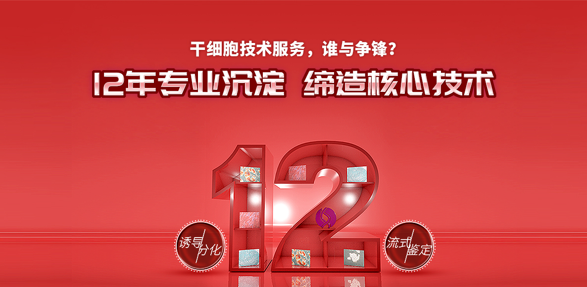 干细胞技术服务,谁与争锋?12年专业沉淀,缔造核心技术