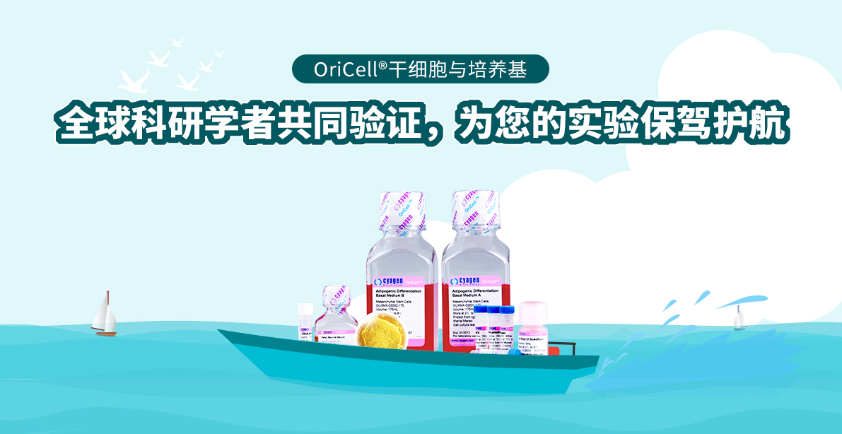 OriCell®干细胞与培养基 全球科研学者共同验证,为您的实验保驾护航