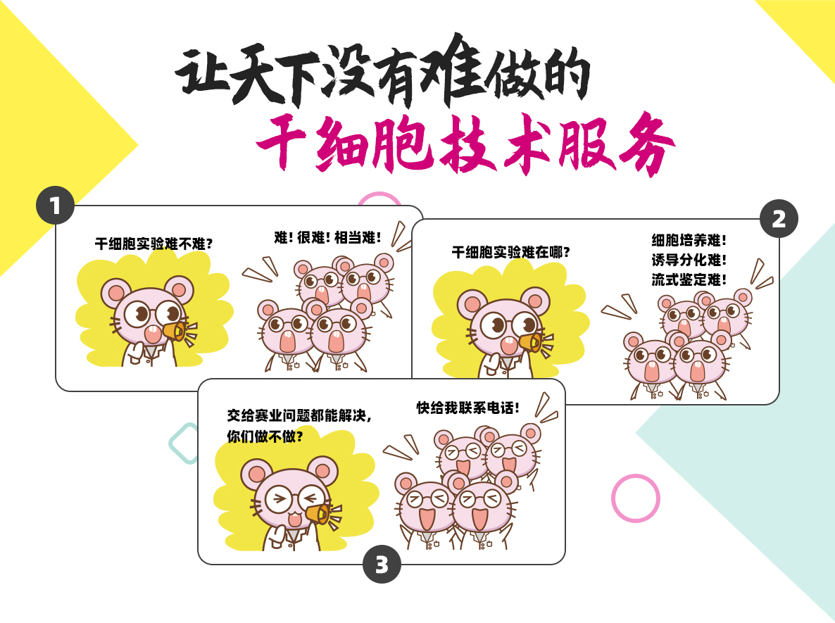 问:干细胞实验难不难? 答: 难!很难!相当难!问:干细胞实验难在哪? 答:细胞培养难!诱导分化难!流式鉴定难!问:交给赛业问题都能解决,你们做不做? 答:快给我联系电话!