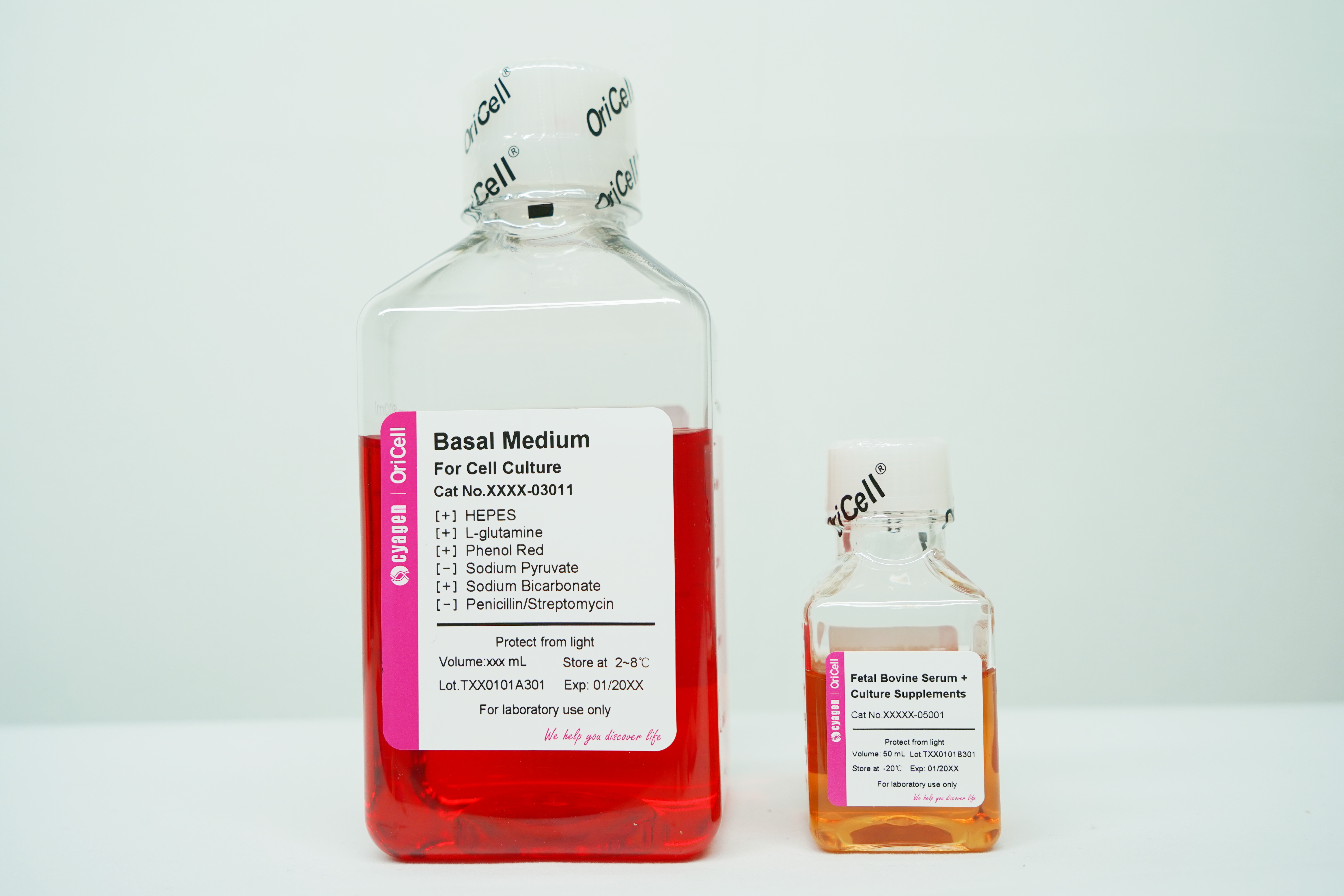 OriCell<sup>®</sup>大鼠软骨细胞完全培养基