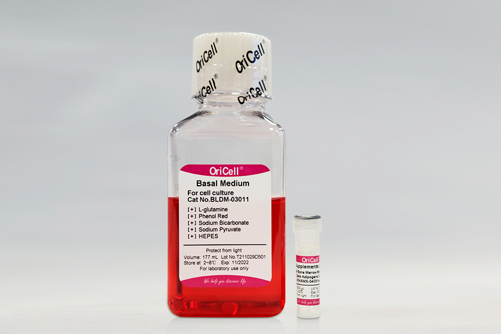 OriCell<sup>®</sup>NK-92细胞系完全培养基