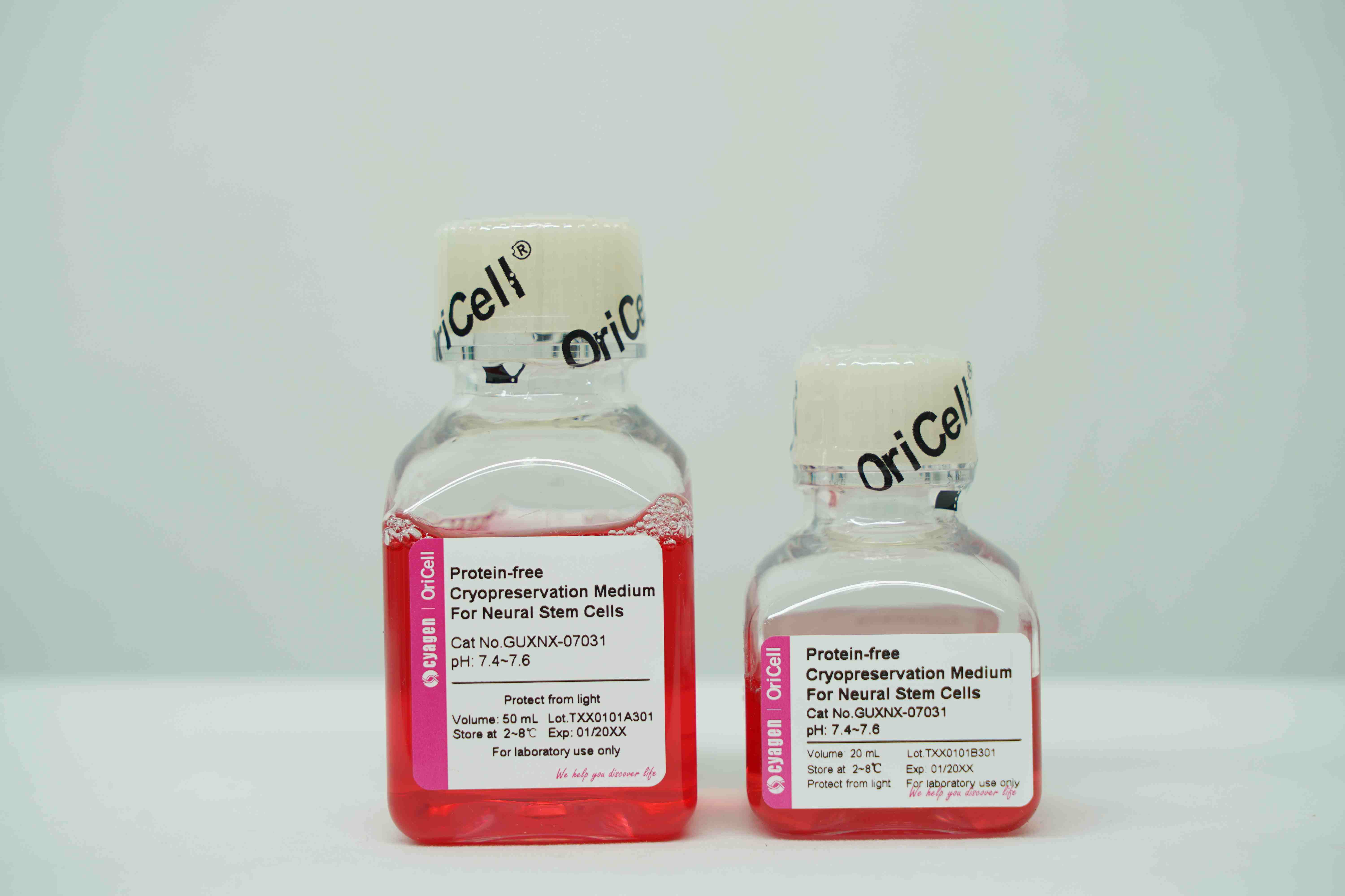 OriCell<sup>®</sup>神经干细胞无蛋白非程序冻存液