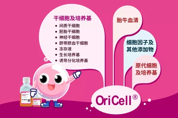 赛业OriCell细胞产品