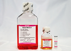 OriCell<sup>®</sup>E.G7-OVA 细胞系完全培养基