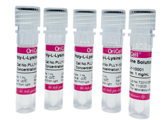 多聚-L-赖氨酸 OriCell<sup>®</sup>Poly-L-lysine 多聚-L-赖氨酸 PLLY-10001