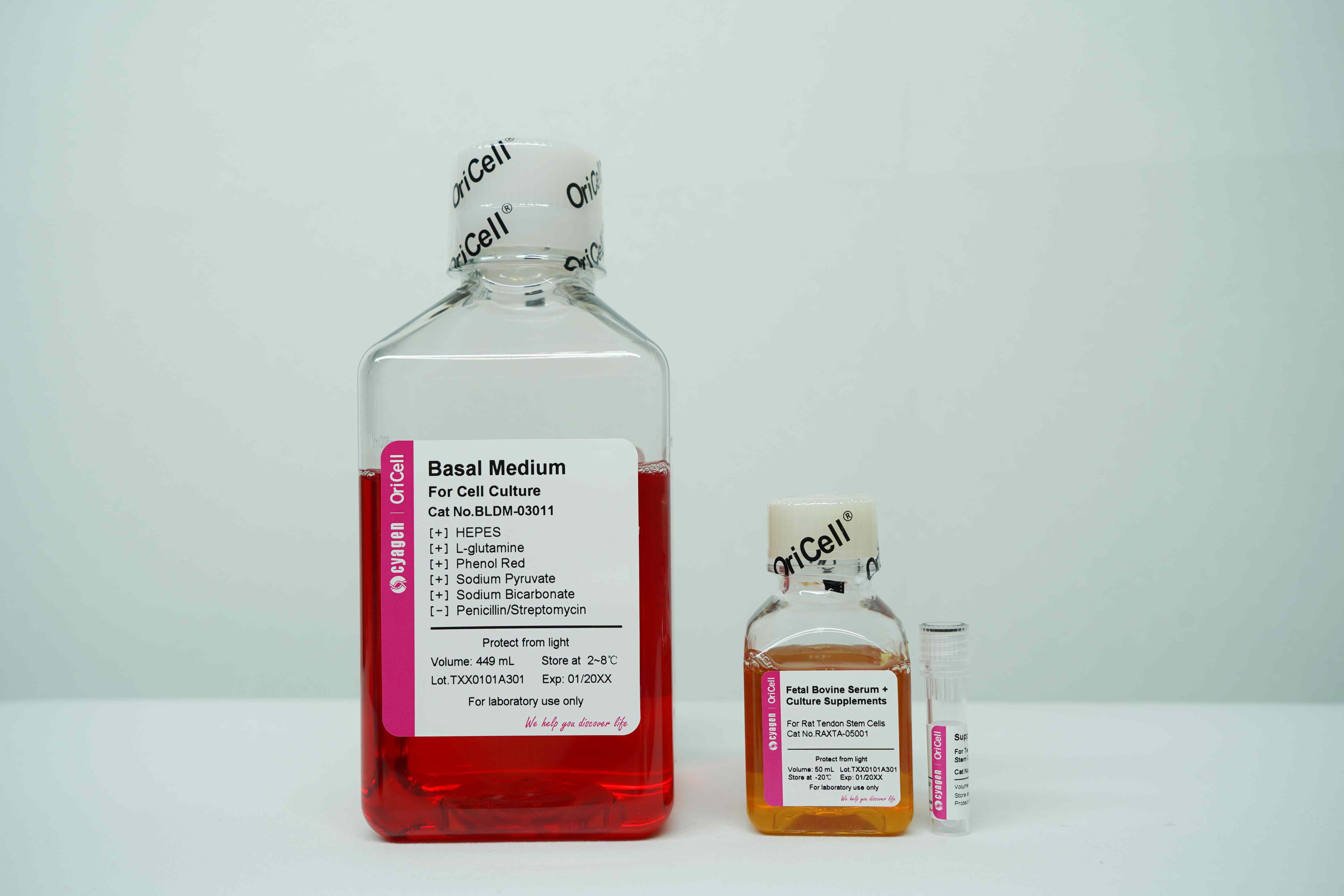 OriCell<sup>®</sup>大鼠肌腱干细胞完全培养基