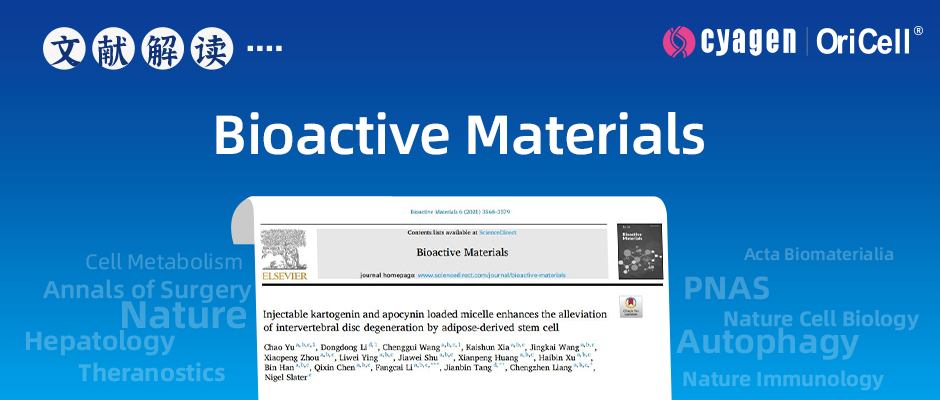 新型聚合物胶束，有望治疗椎间盘退变 | 赛业生物OriCell