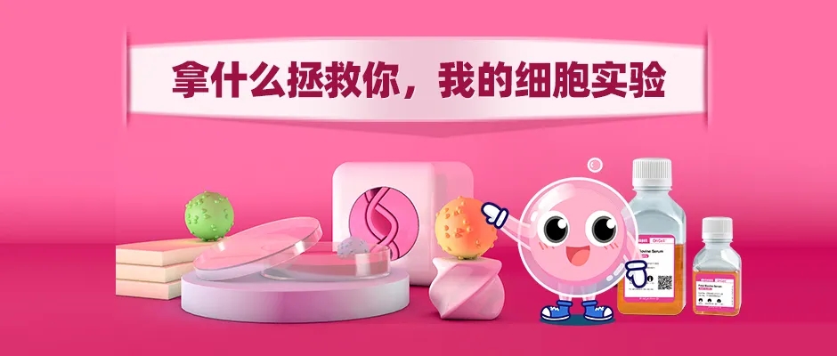 拿什么拯救你？我的细胞实验