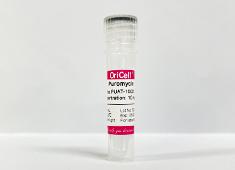 None OriCell<sup>®</sup>Puromycin (10mg/mL) PUAT-10001