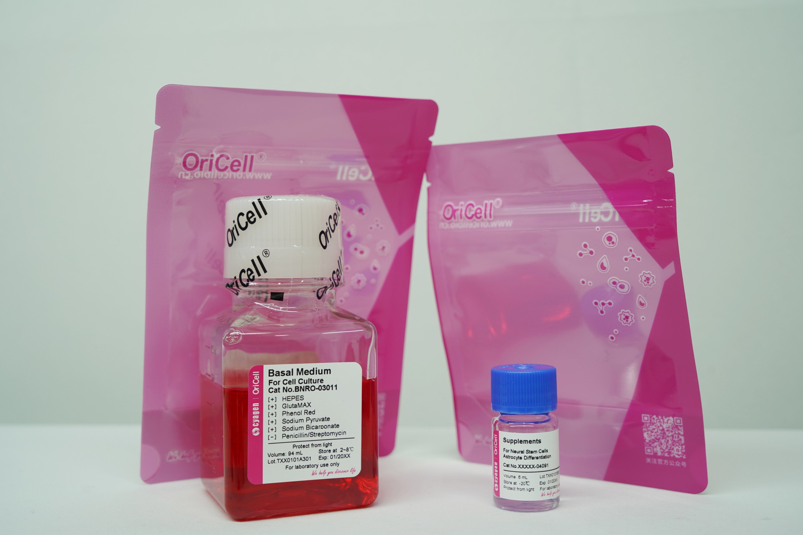 OriCell<sup>®</sup>大鼠神经干细胞成星形胶质细胞诱导分化试剂盒