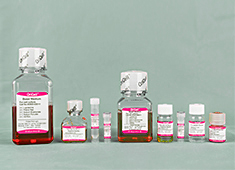 骨髓 OriCell<sup>®</sup>骨髓间充质干细胞成脂诱导分化试剂盒(多用型) GUXMX-90031