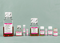 OriCell<sup>®</sup>小鼠MC3T3-E1细胞成脂诱导分化试剂盒