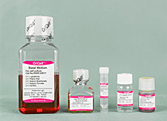 人相关干细胞 OriCell<sup>®</sup>人相关干细胞成骨诱导分化试剂盒 HUXXC-90021