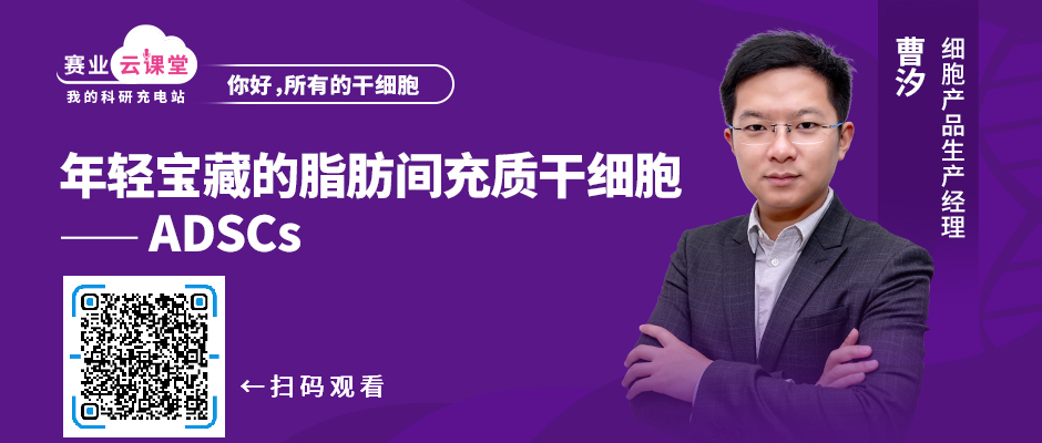 肥而不腻，年轻宝藏，ADSCs爱对了