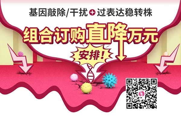基因敲除/干扰+过表达稳转株