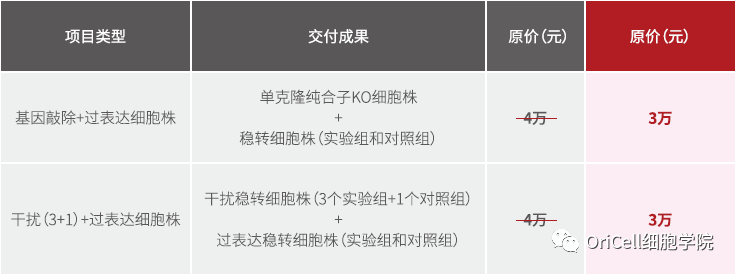 基因敲除、干扰、过表达细胞株组合购买