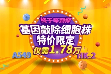 基因敲除细胞株特价限定，仅需1.78万