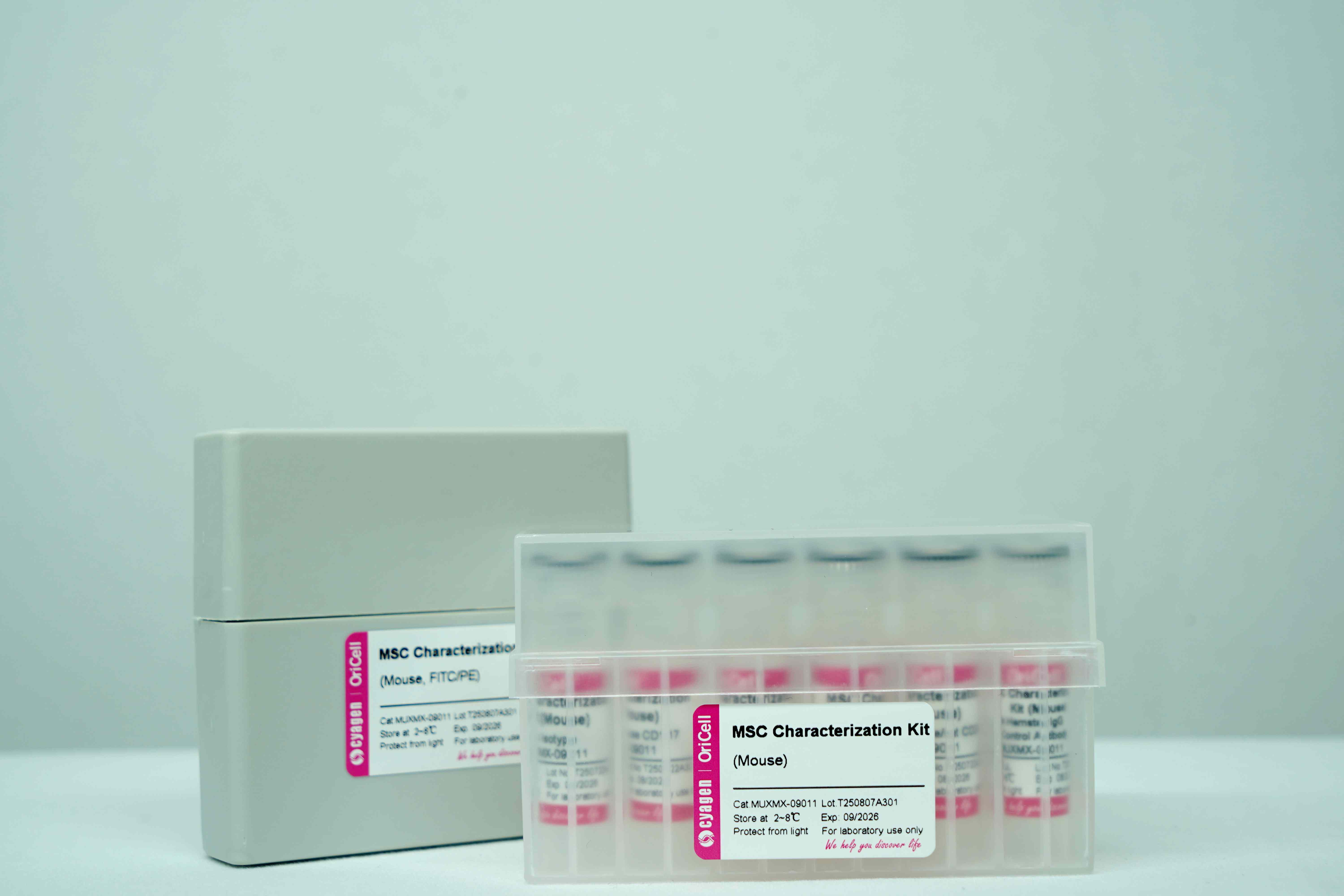 OriCell<sup>®</sup>间充质干细胞（小鼠）表面标记检测试剂盒