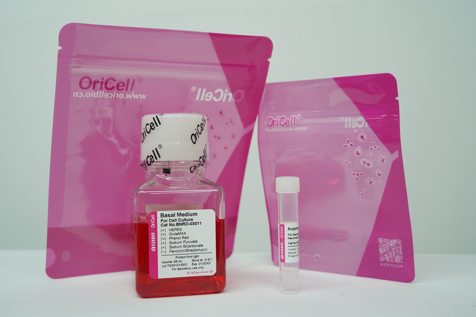 OriCell<sup>®</sup>大鼠神经干细胞成神经元诱导分化试剂盒