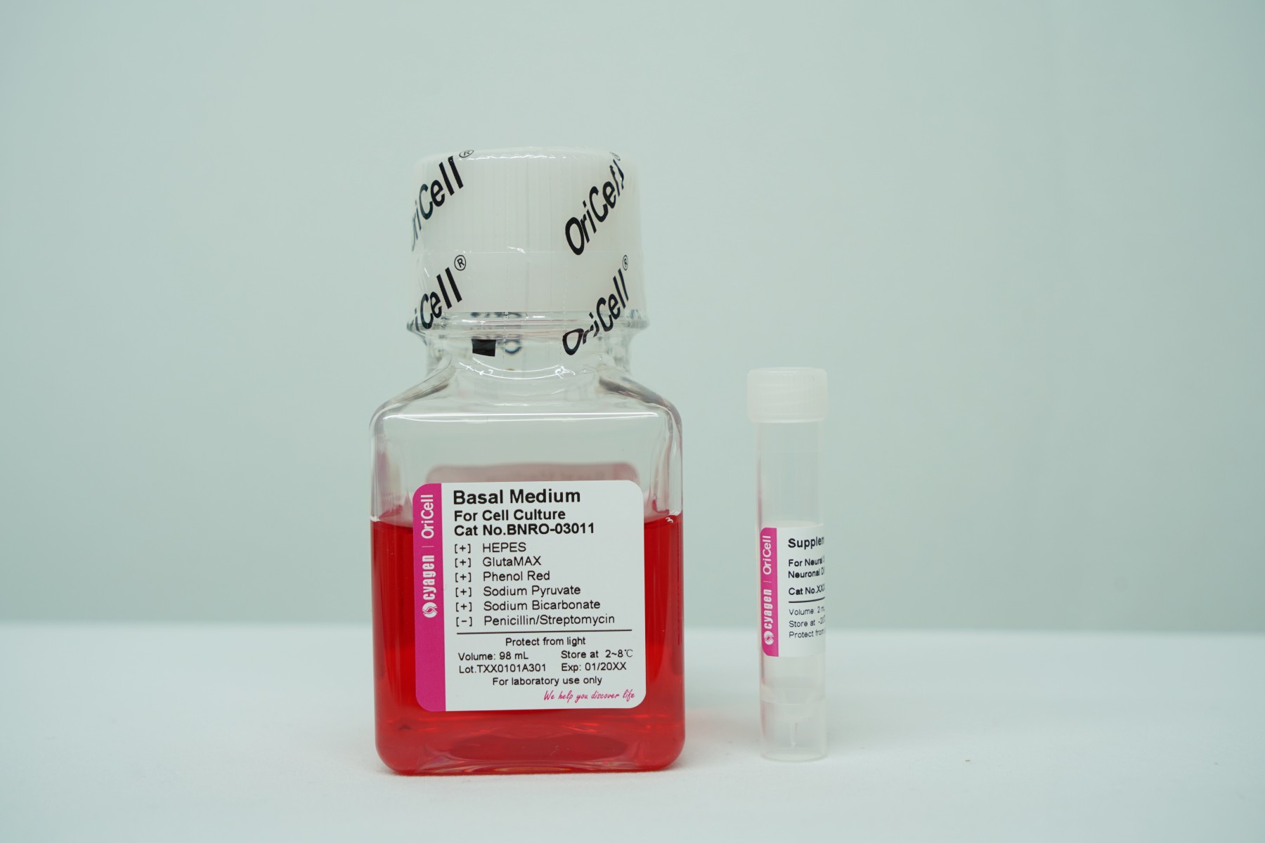 OriCell<sup>®</sup>小鼠神经干细胞成神经元诱导分化试剂盒