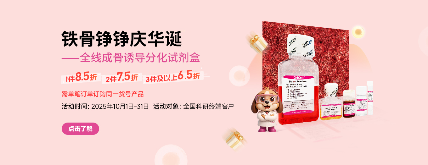 成骨分化试剂