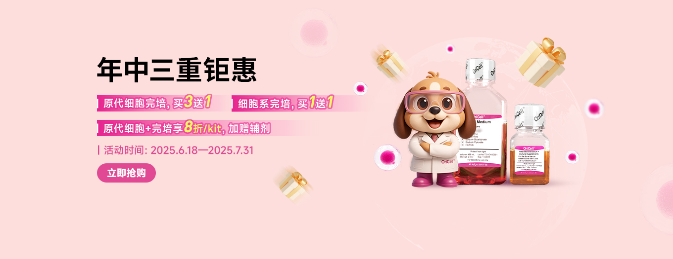 年中三重大促