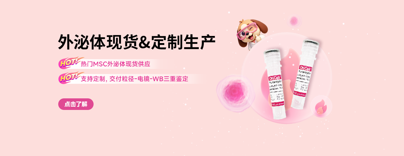 外泌体产品