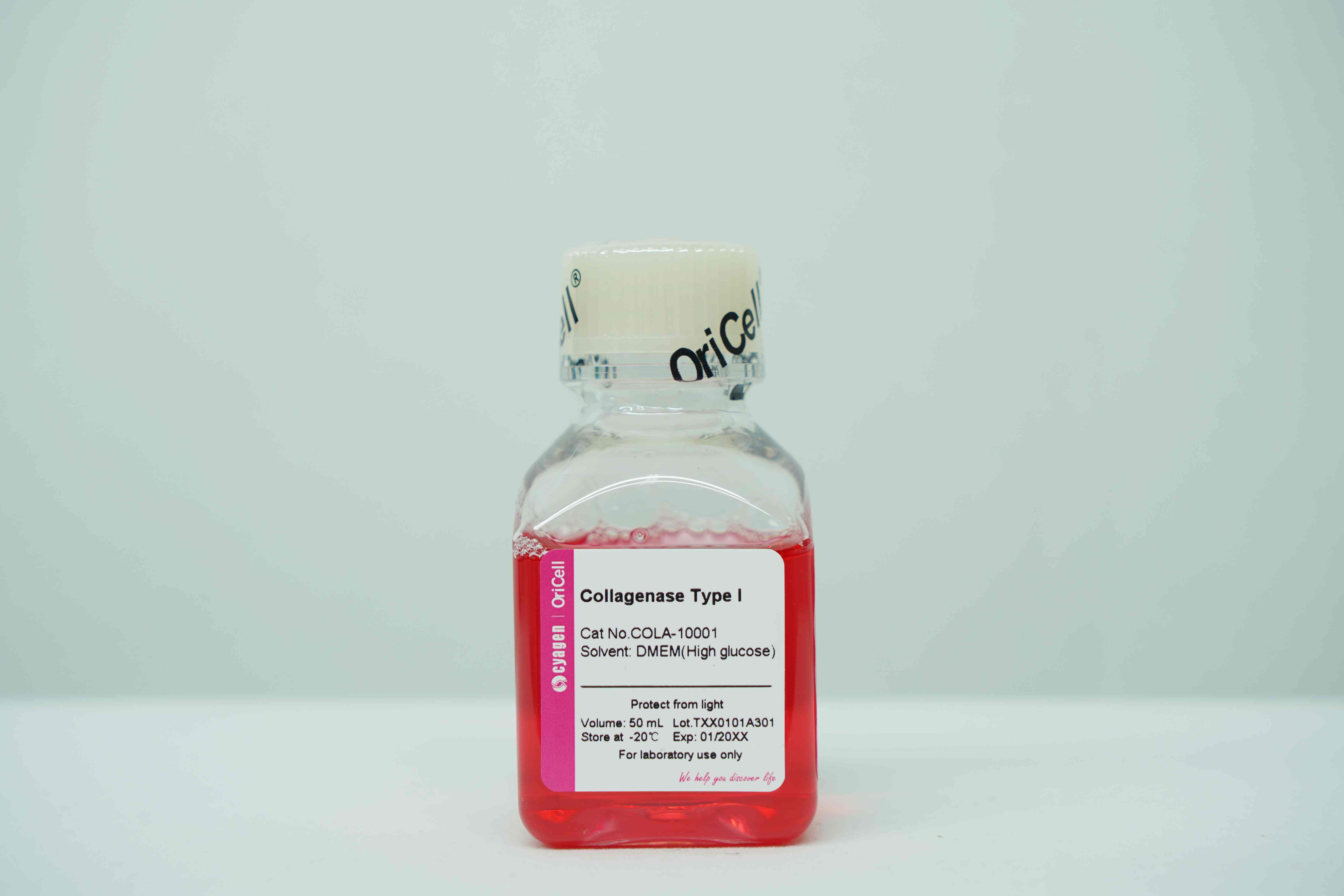 OriCell<sup>®</sup>Collagenase Type I (0.1%) 一型胶原酶