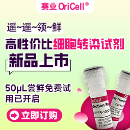 转染试剂试用