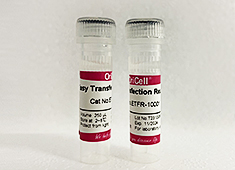 None OriCell<sup>®</sup>Easy Transfection Reagent ETFR-10001