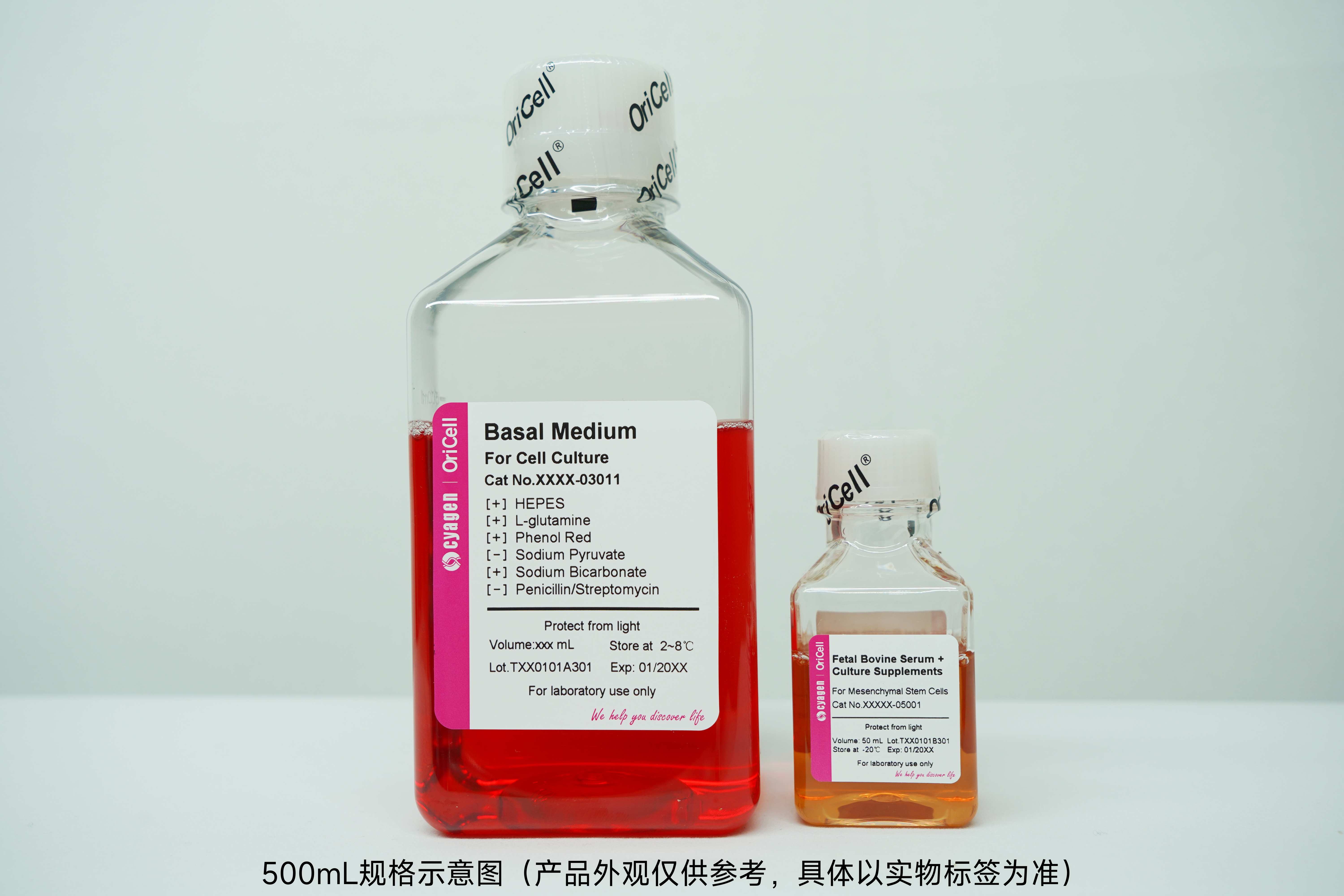 OriCell<sup>®</sup>猴脂肪间充质干细胞完全培养基