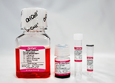 人脂肪间充质干细胞成软骨诱导分化试剂盒 OriCell<sup>®</sup>人脂肪间充质干细胞成软骨诱导分化试剂盒 HUXMD-90041