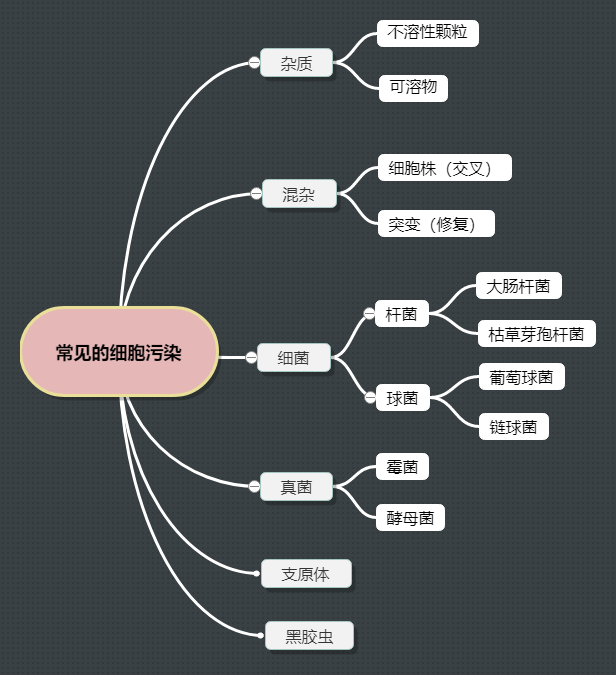 常见的细胞污染类型