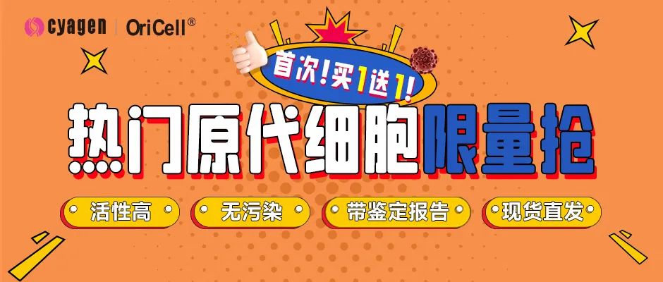 热门原代细胞限购抢