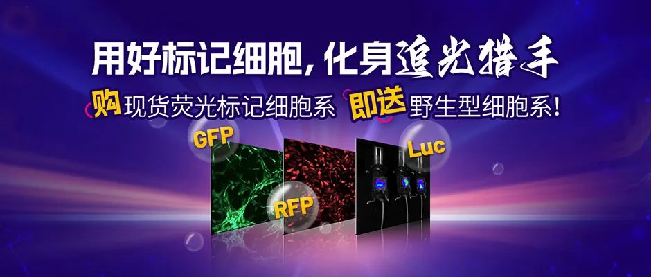 标记细胞