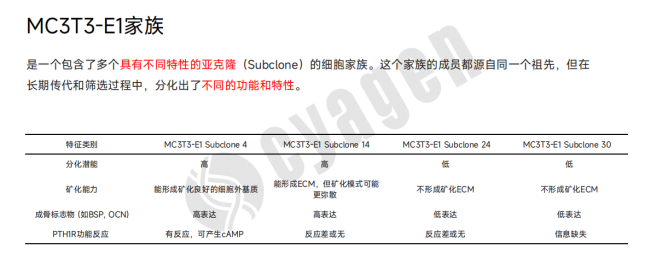 MC3T3-E1细胞系