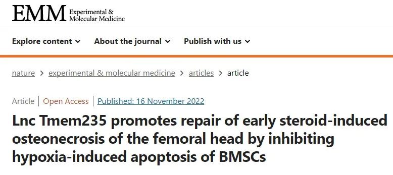BMSC缺氧性凋亡促进激素性股骨头坏死修复