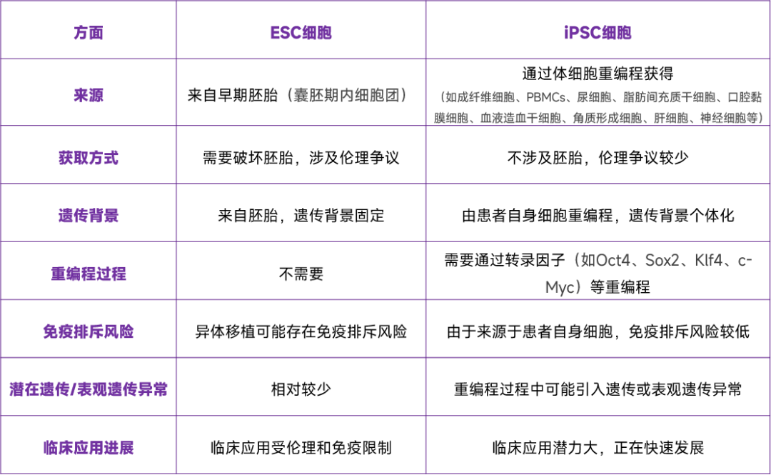 iPSC细胞