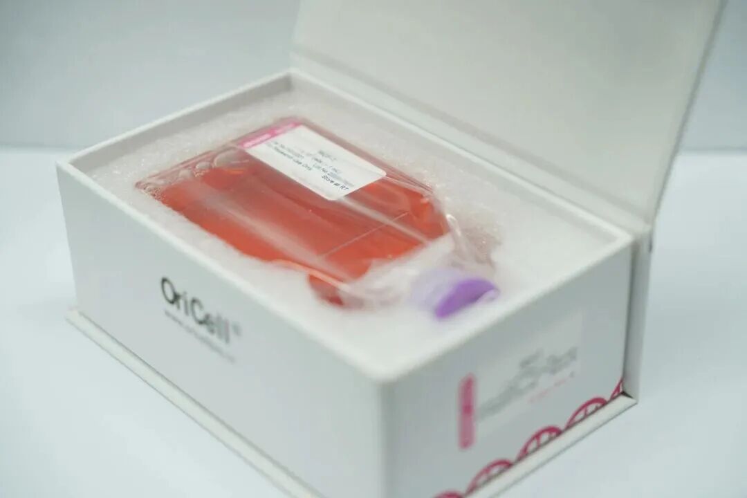 细胞收货如何正确验收