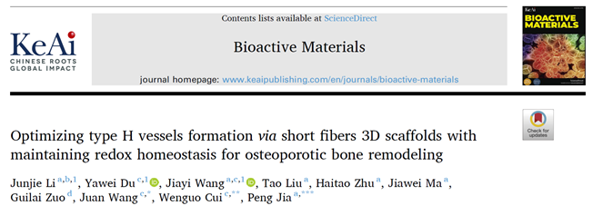 抗氧化—血管-成骨偶联