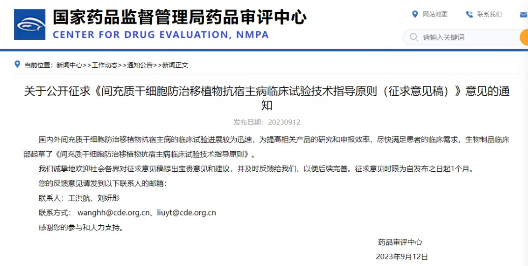 间充质干细胞