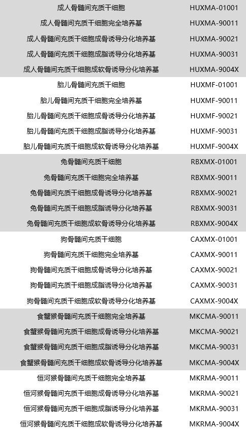 OriCell®骨髓间充质干细胞及配套培养基