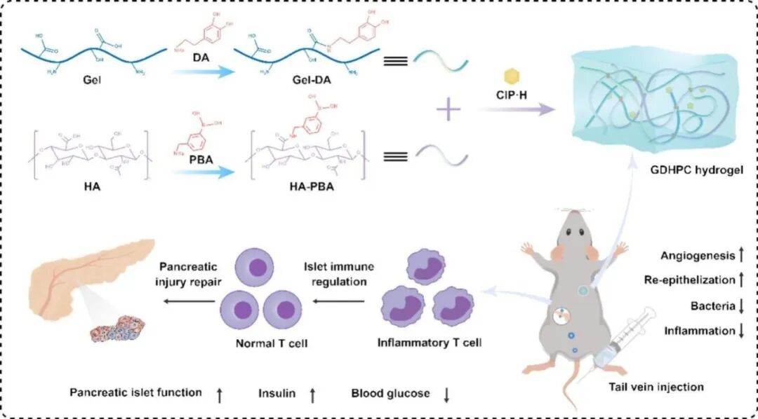 治疗糖尿病创面新策略