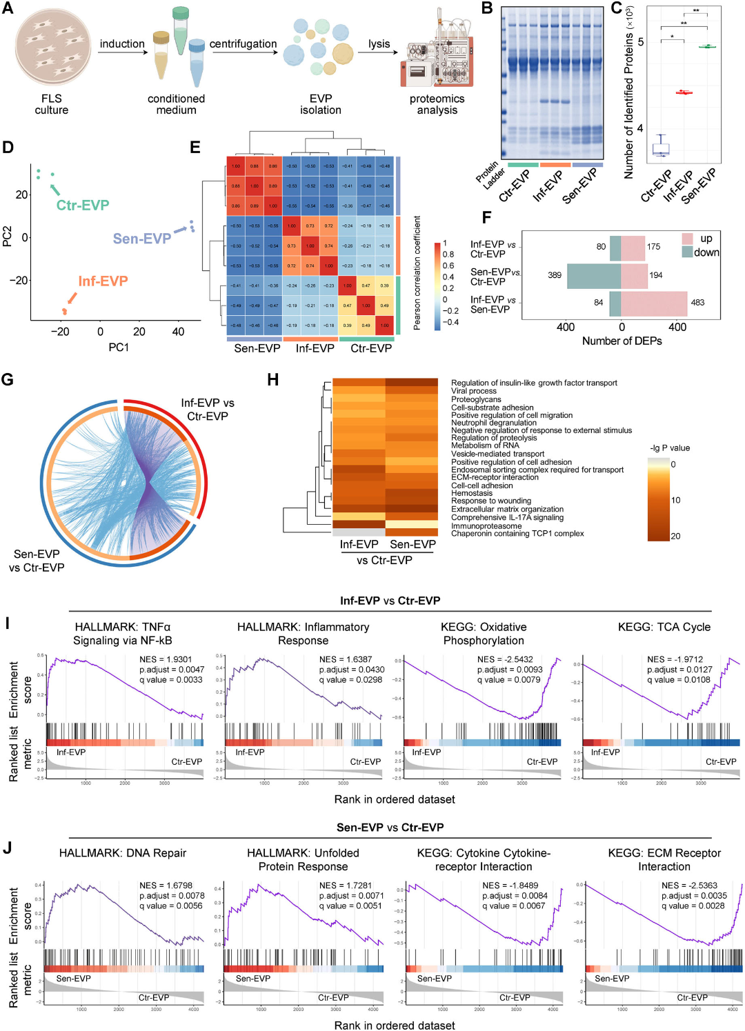 骨关节炎新疗法